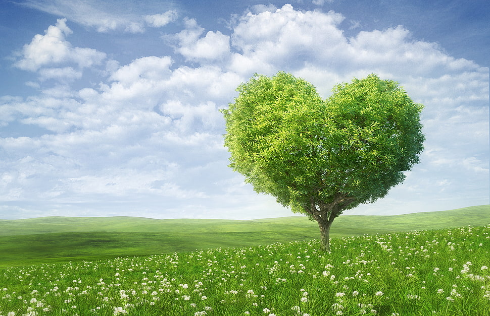 heart-tree